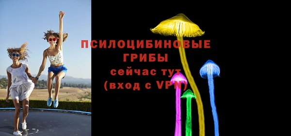 круглые Карпинск