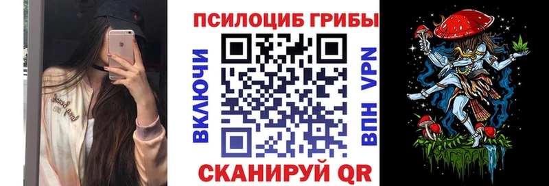 Псилоцибиновые грибы GOLDEN TEACHER  Купить  Заводоуковск 