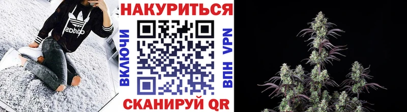 Купить закладки  Заводоуковск  Бошки марихуана White Widow 